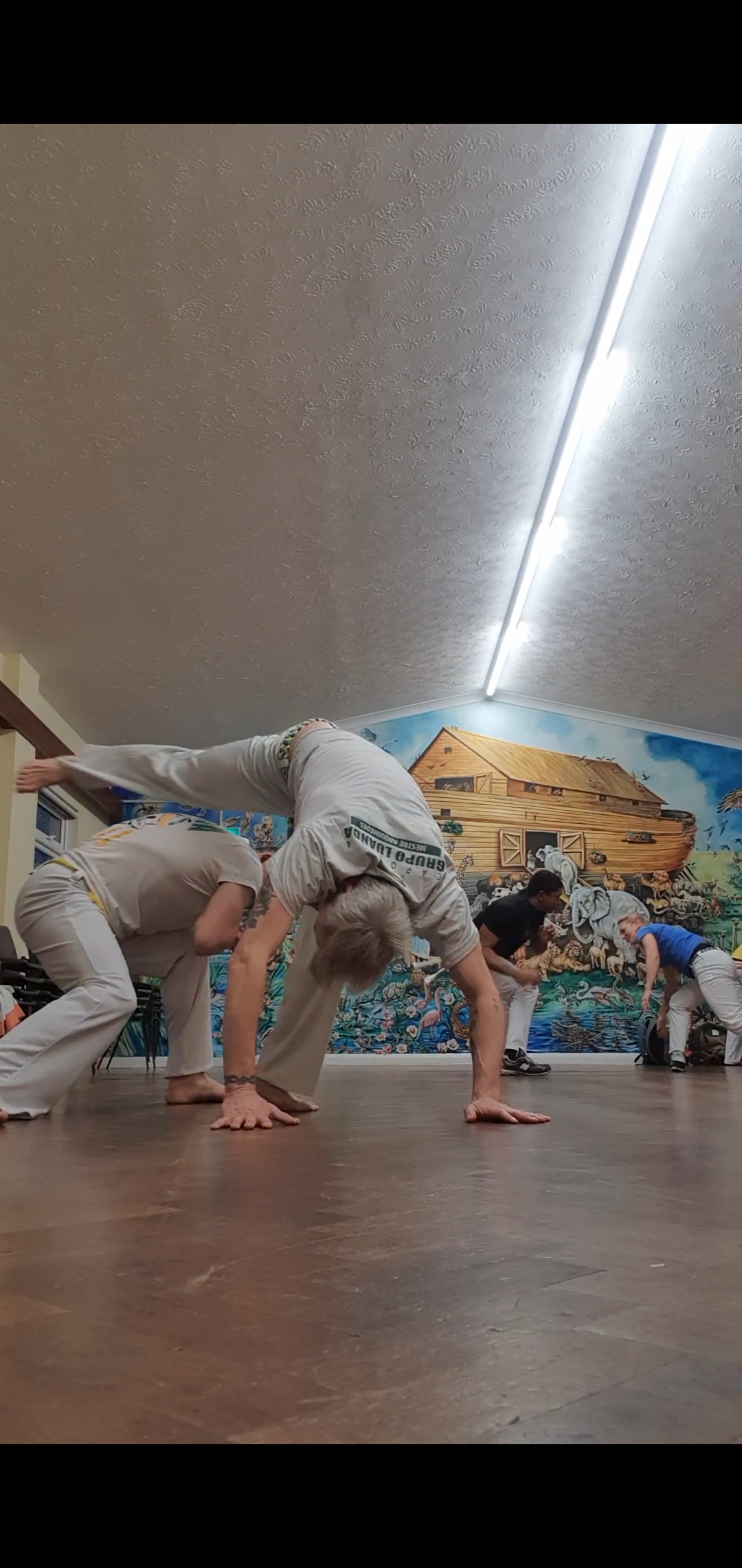 capoeira training
